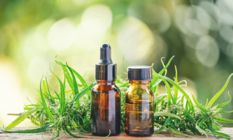 THCV Near Me: The Cannabinoid With Exciting Benefits