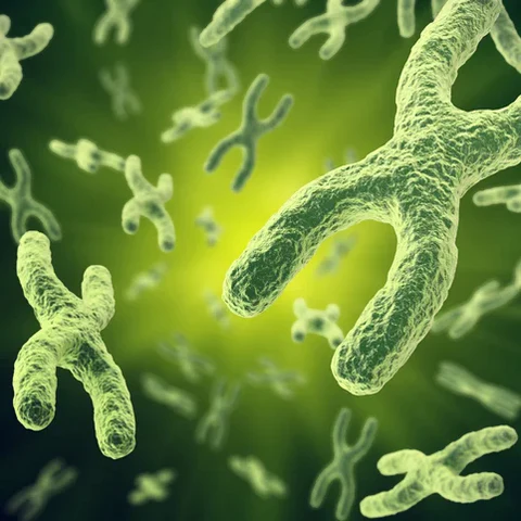 Describe Telomeres