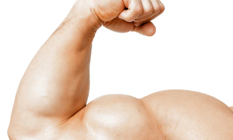 What you will get from buying turkesterone supplements?