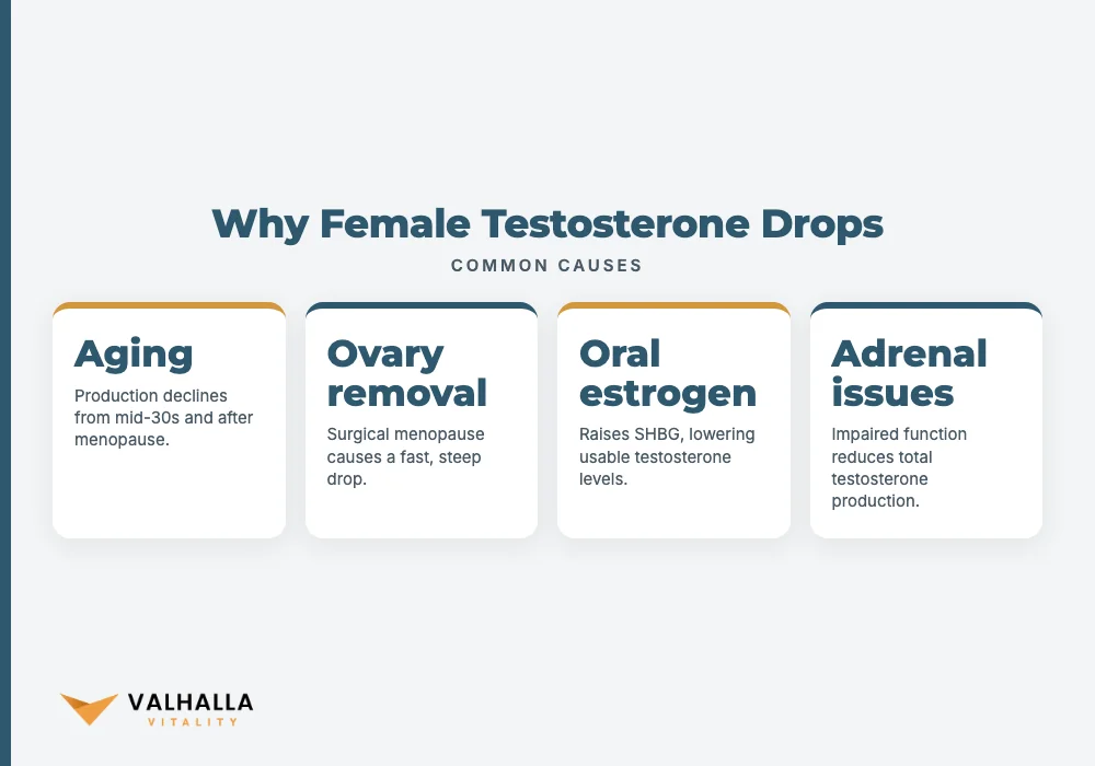 Why Female Testosterone Drops