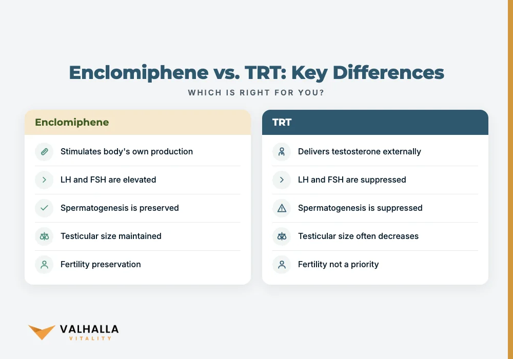 Enclomiphene vs. TRT: Key Differences