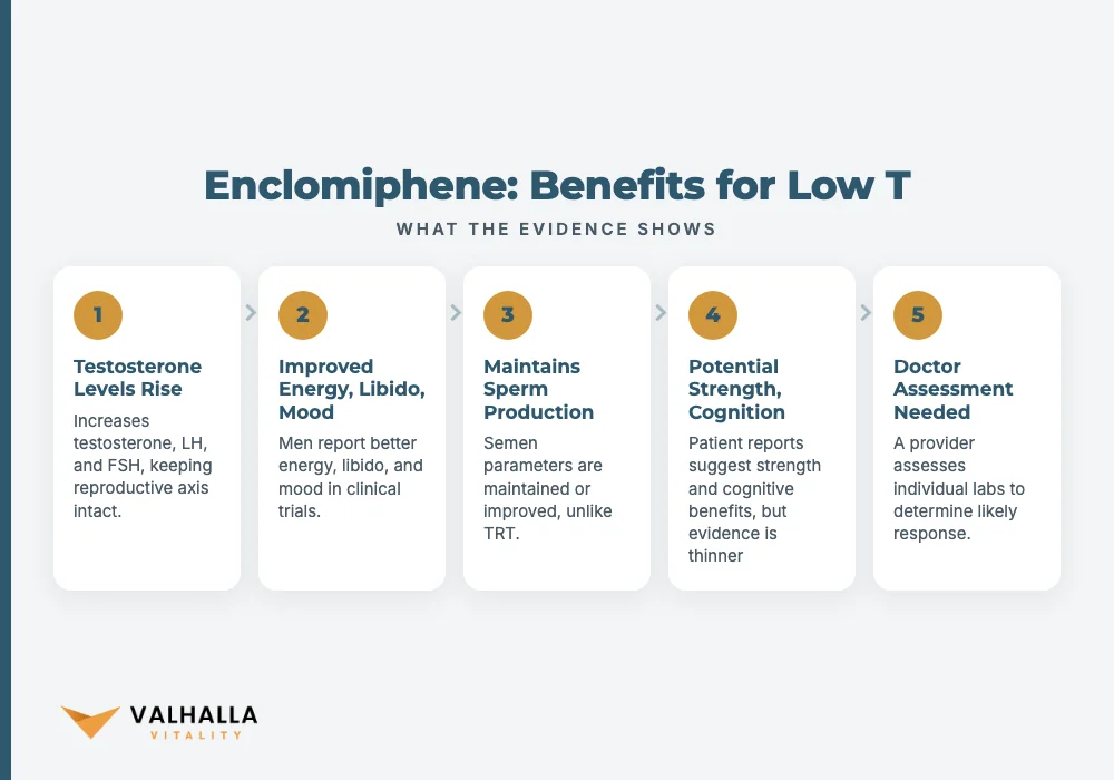 Enclomiphene: Benefits for Low T