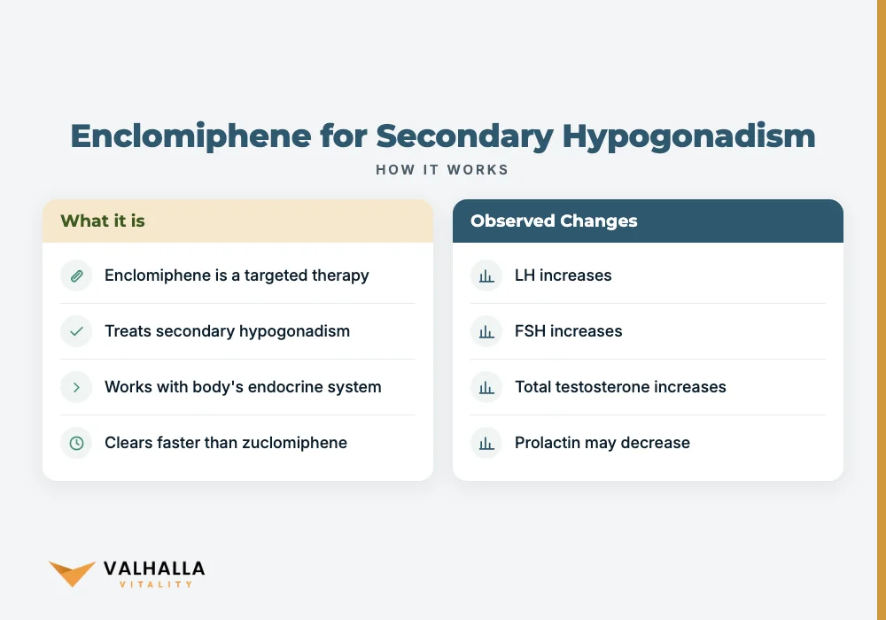 Enclomiphene for Secondary Hypogonadism