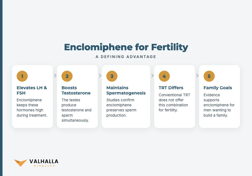 Enclomiphene for Fertility
