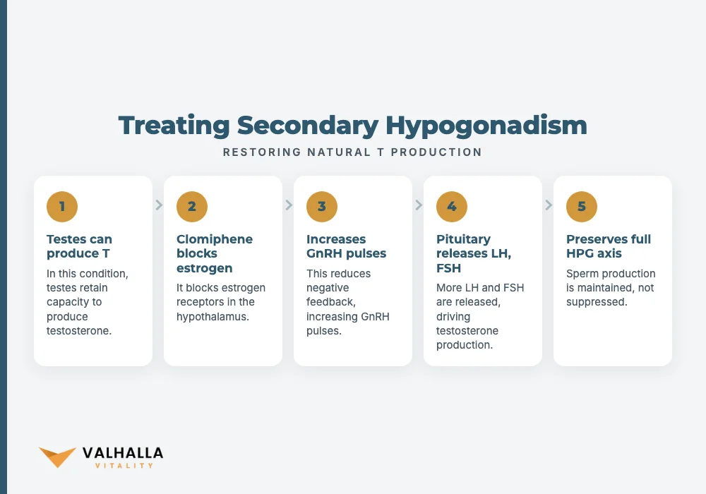 Treating Secondary Hypogonadism