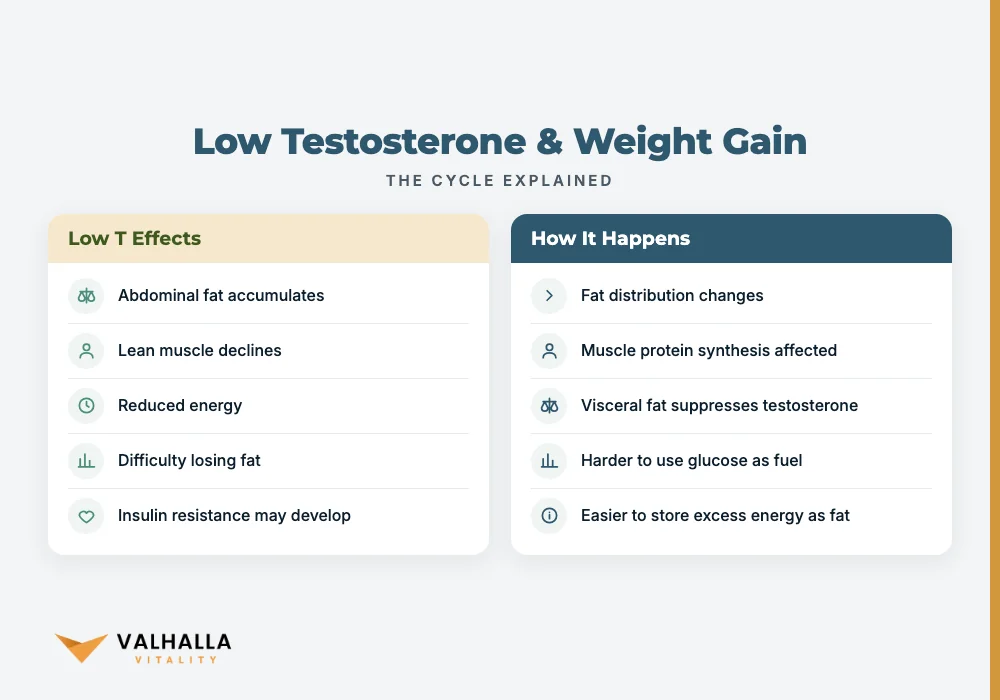 Low Testosterone & Weight Gain