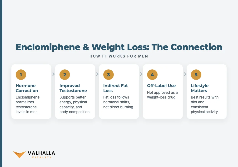 Enclomiphene & Weight Loss: The Connection