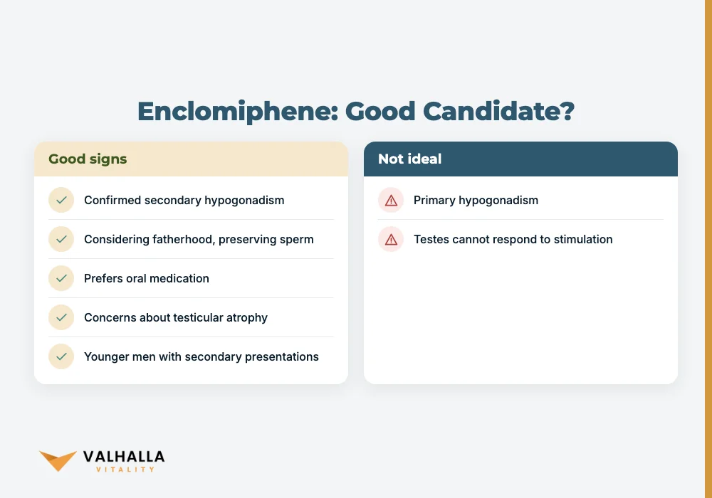Enclomiphene: Good Candidate?