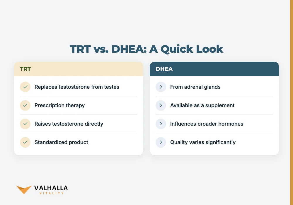 TRT vs. DHEA: A Quick Look