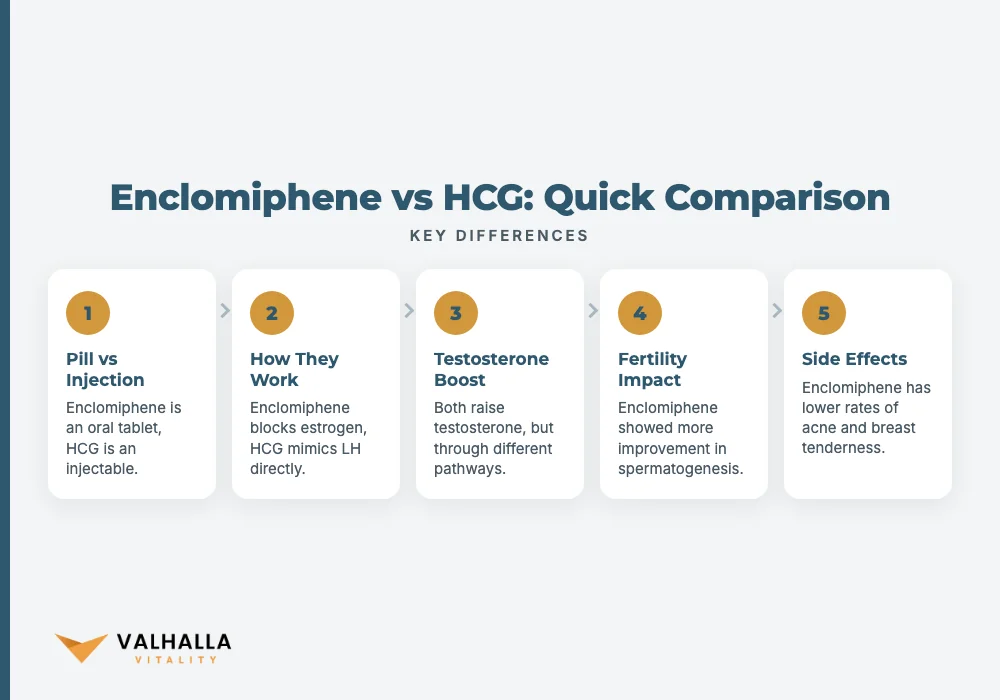 Enclomiphene vs HCG: Quick Comparison