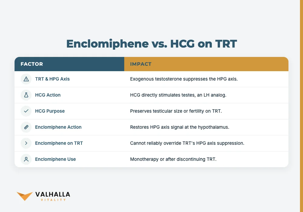 Enclomiphene vs. HCG on TRT