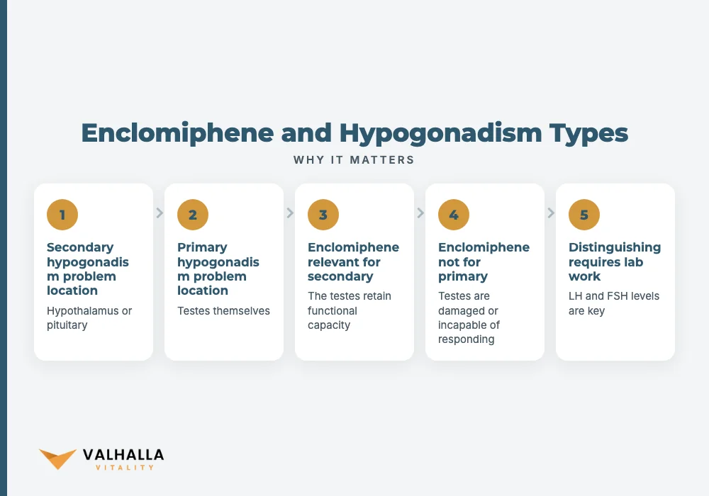 Enclomiphene and Hypogonadism Types