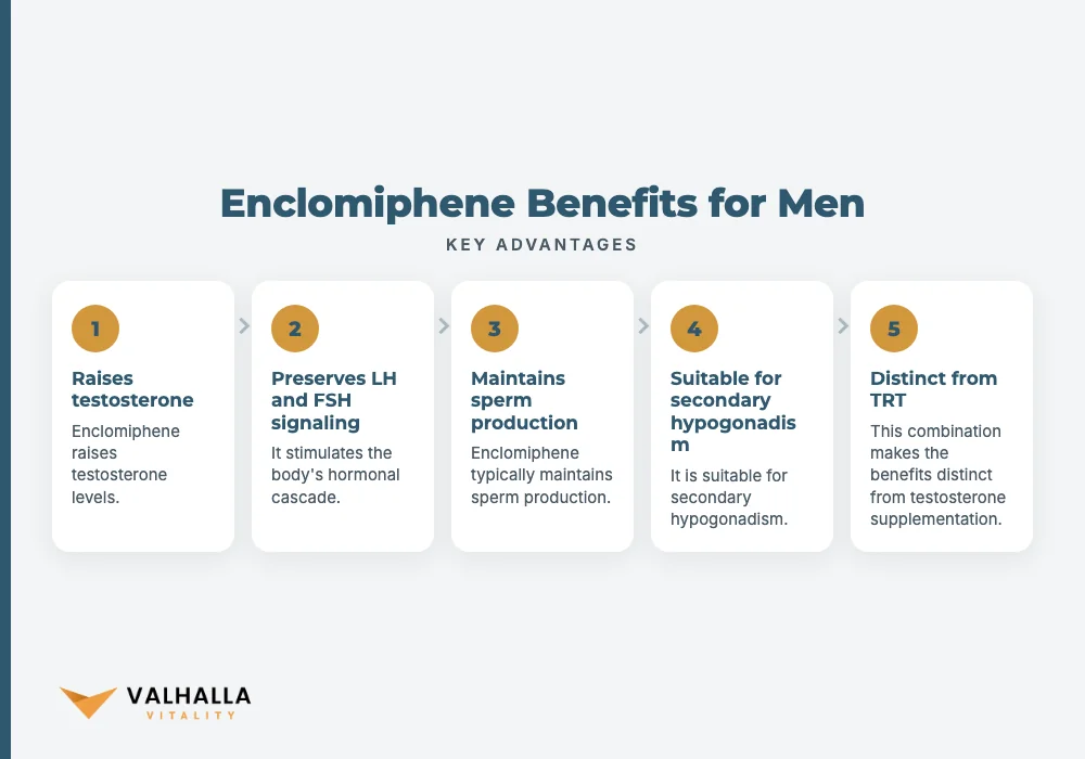 Enclomiphene Benefits for Men