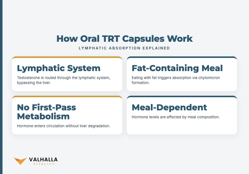 How Oral TRT Capsules Work