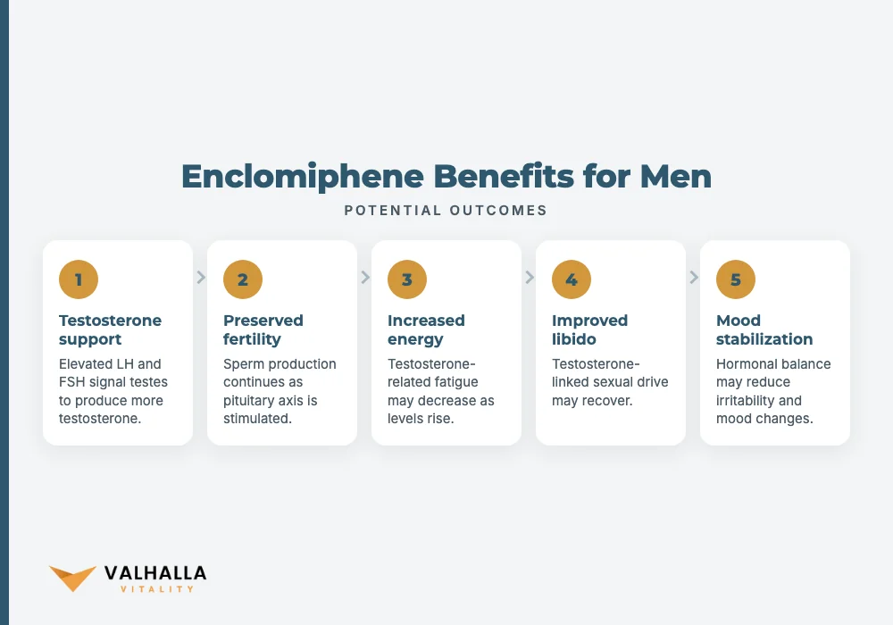 Enclomiphene Benefits for Men