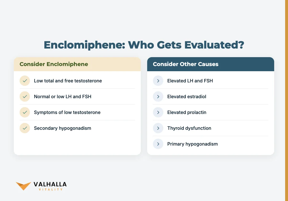 Enclomiphene: Who Gets Evaluated?