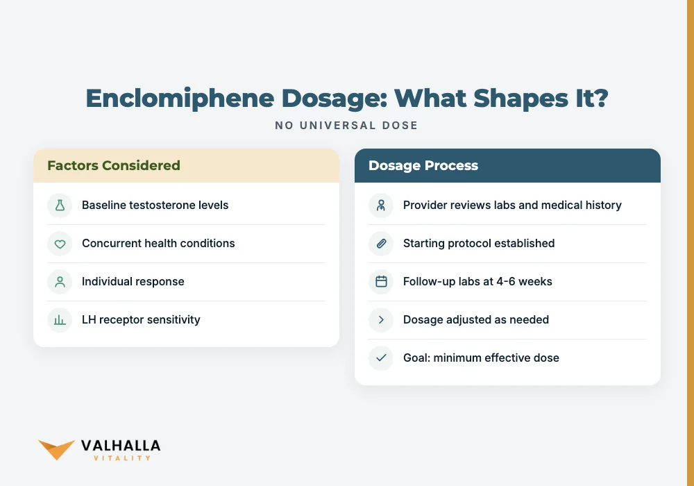 Enclomiphene Dosage: What Shapes It?