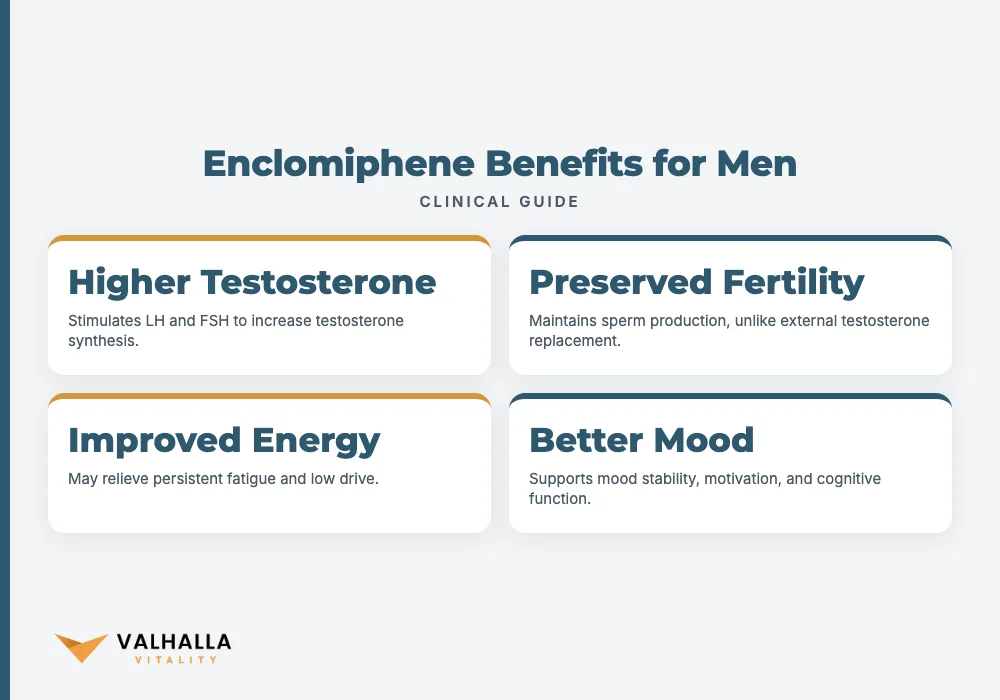 Enclomiphene Benefits for Men