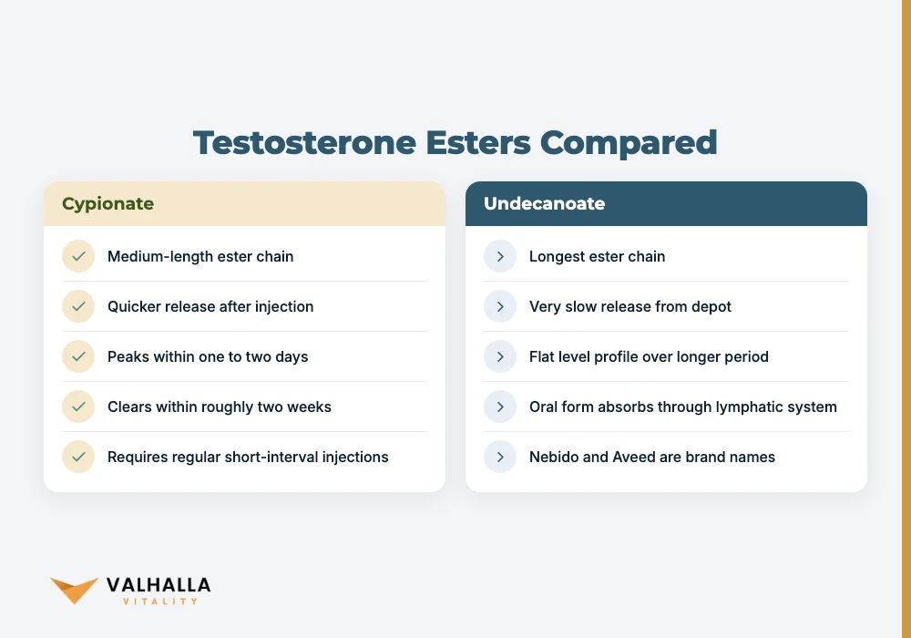 Testosterone Esters Compared