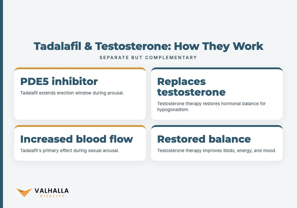 Tadalafil & Testosterone: How They Work