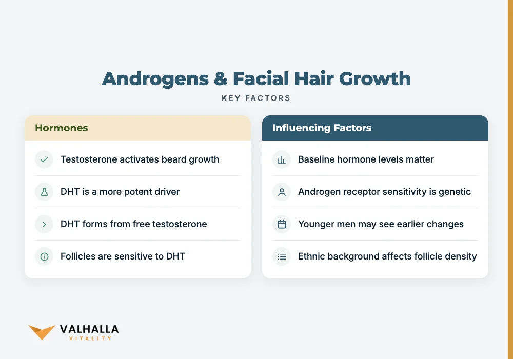 Androgens & Facial Hair Growth