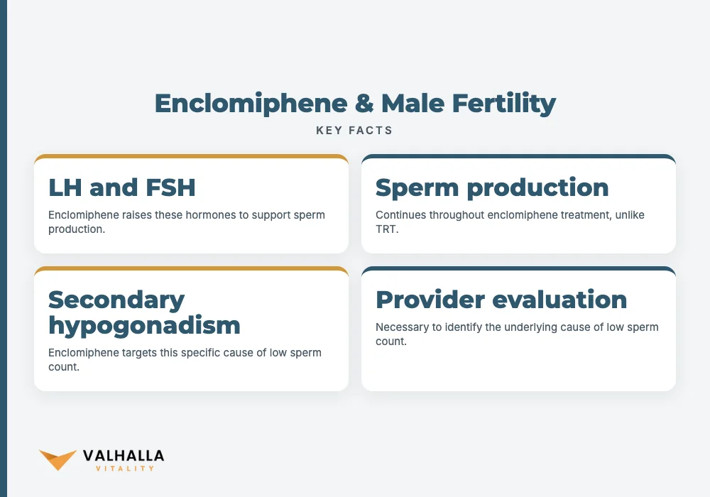 Enclomiphene & Male Fertility