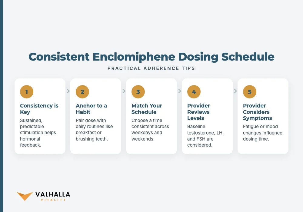 Consistent Enclomiphene Dosing Schedule