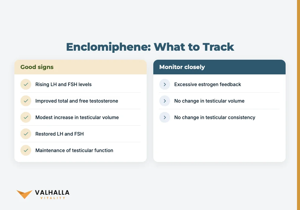Enclomiphene: What to Track