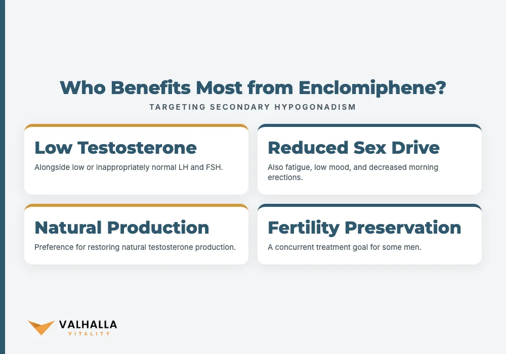 Who Benefits Most from Enclomiphene?