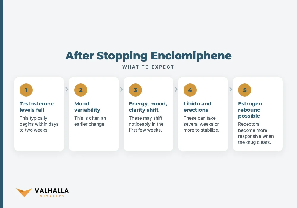 After Stopping Enclomiphene