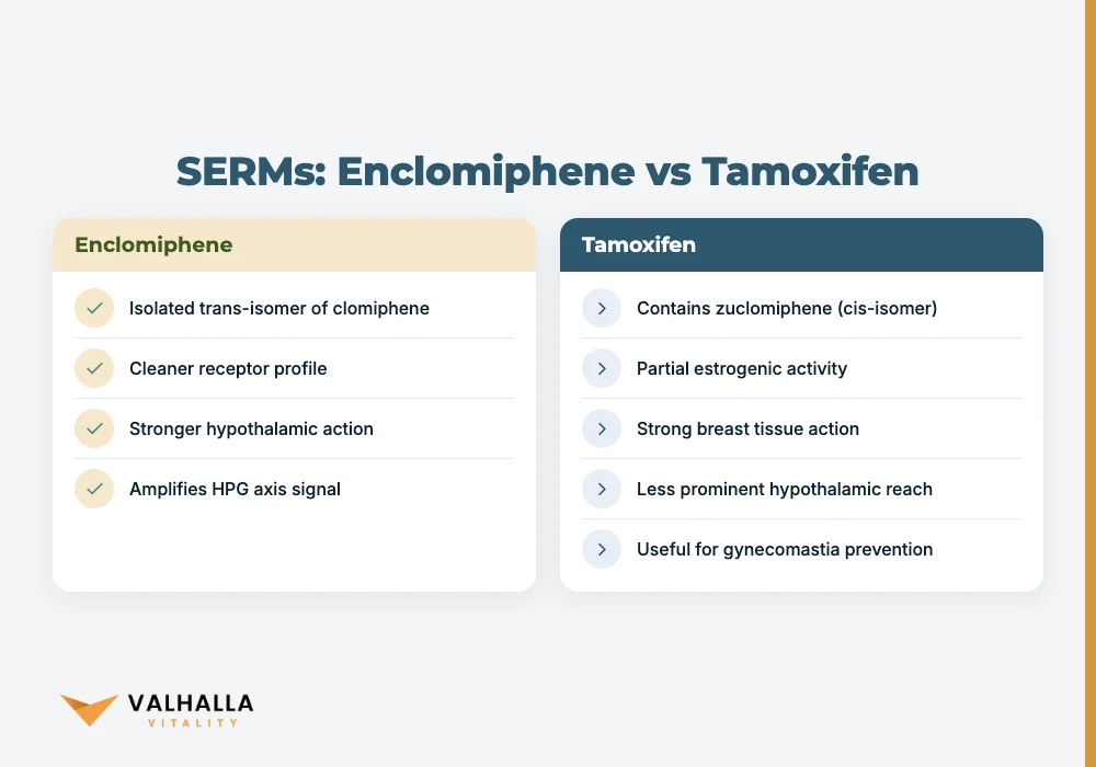 SERMs: Enclomiphene vs Tamoxifen