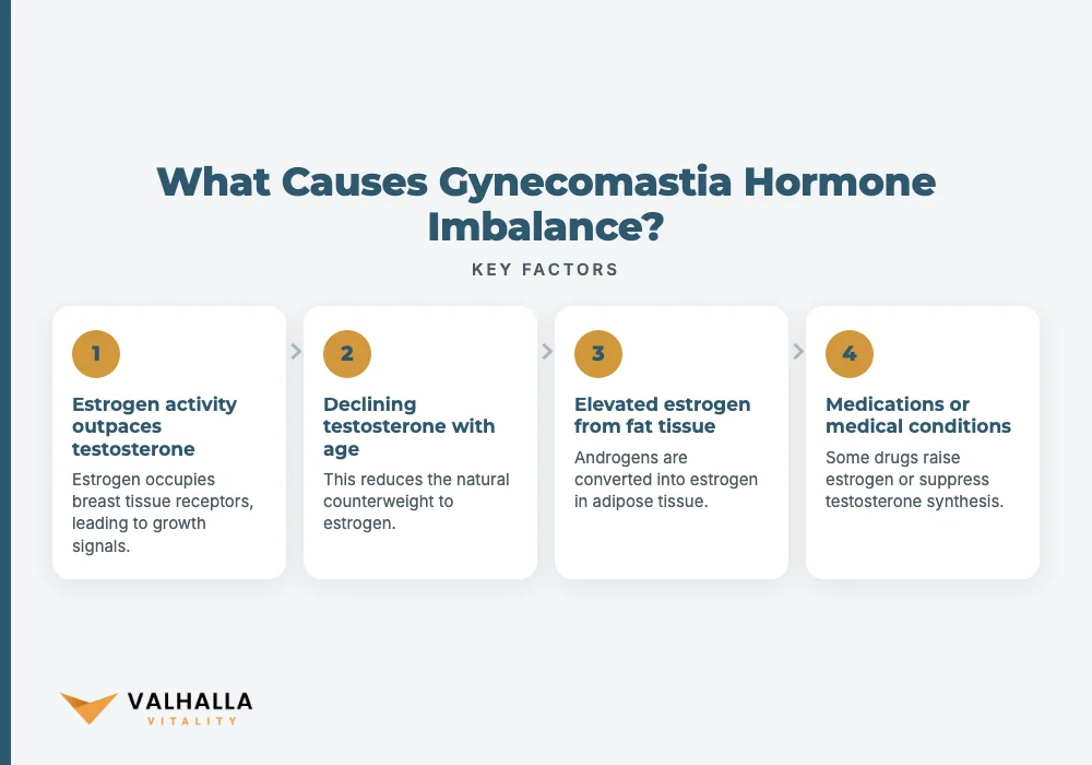 What Causes Gynecomastia Hormone Imbalance?