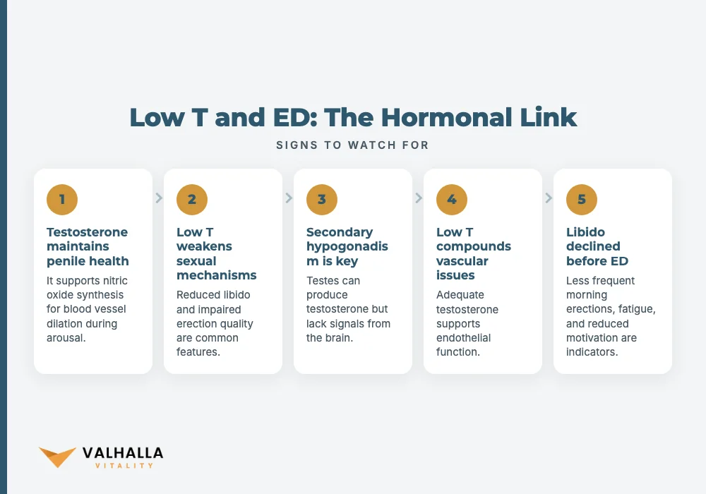 Low T and ED: The Hormonal Link