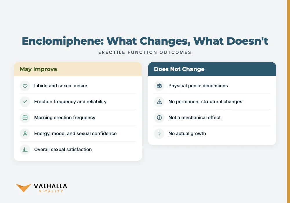 Enclomiphene: What Changes, What Doesn't