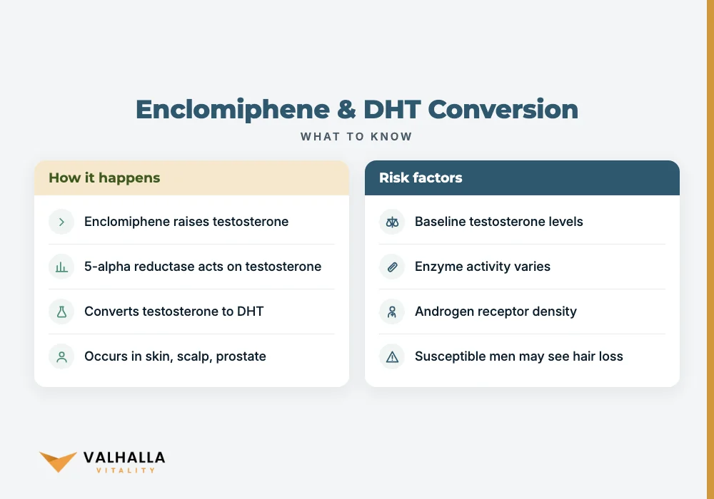 Enclomiphene & DHT Conversion