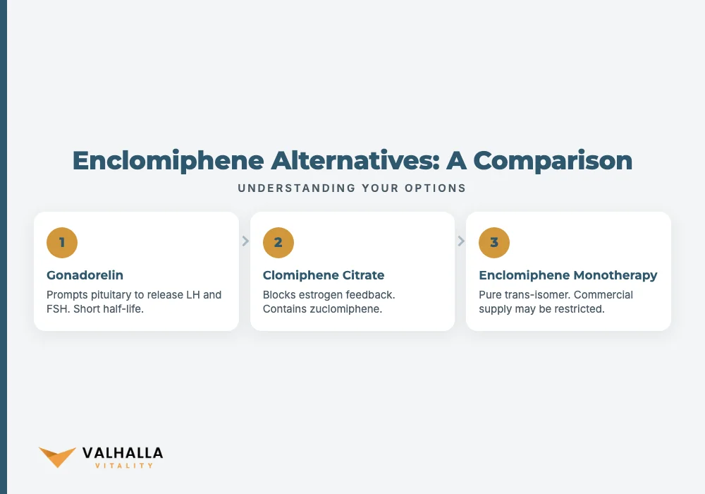 Enclomiphene Alternatives: A Comparison