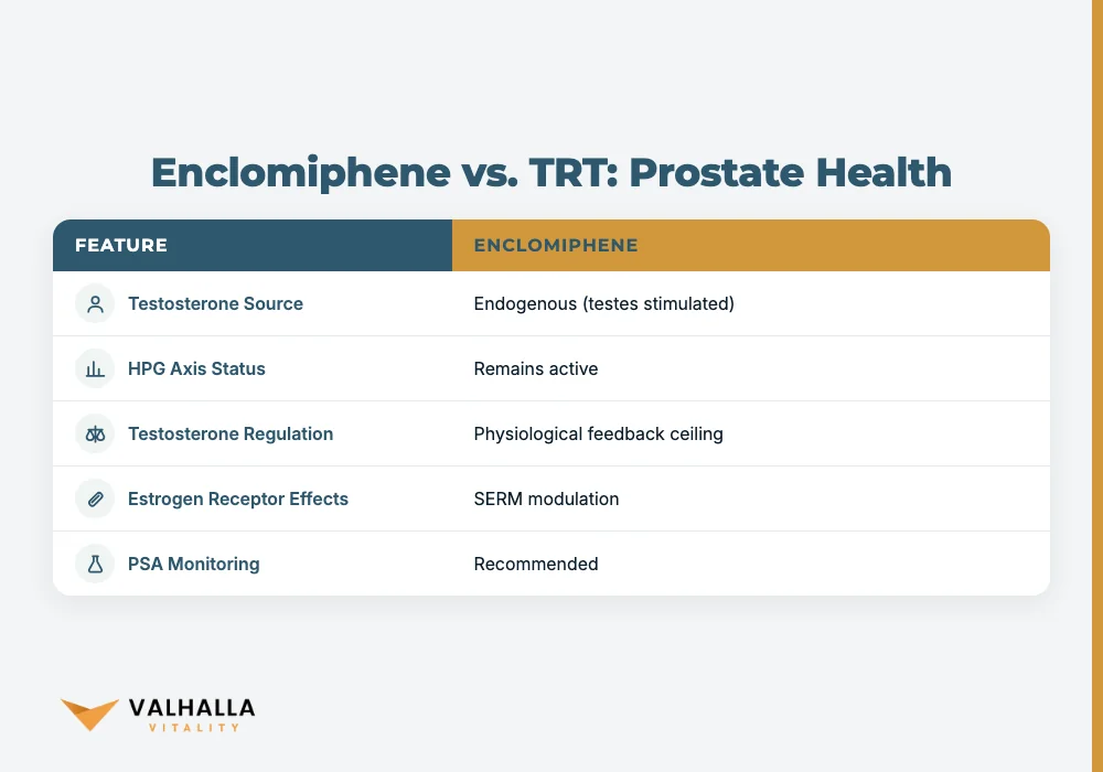 Enclomiphene vs. TRT: Prostate Health