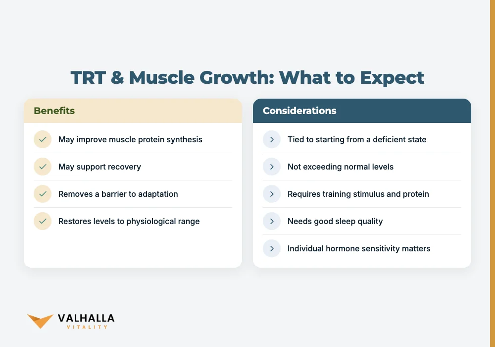 TRT & Muscle Growth: What to Expect
